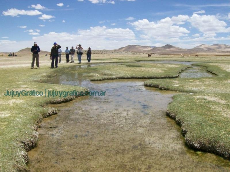 Cooperativa Espejo de Sal Impulsando el Turismo Rural en el Norte Argentino 2 Cooperativa Espejo de Sal Impulsando el Turismo Rural en el Norte Argentino 2