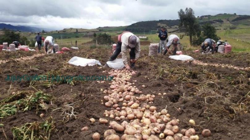 Cooperativas en Jujuy. Desafíos y esperanzas en tiempos de erisis. Cooperativa Azul Azul 1