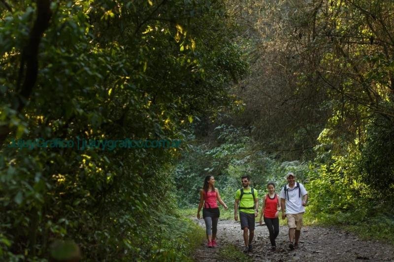 Las Yungas del Norte Argentino, Rumbo al Patrimonio Mundial 7