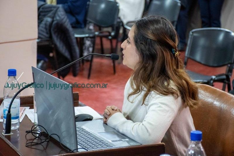 Suspensión de la Fórmula Polinómica para el aumento del del colectivo en San Salvador de Jujuy 4 Suspensión de la Fórmula Polinómica para el aumento del del colectivo en San Salvador de Jujuy 4