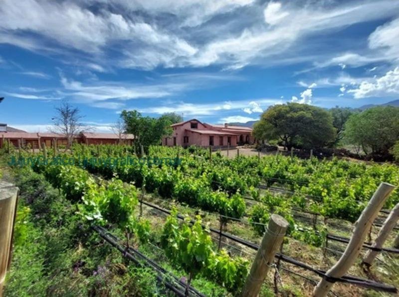 Impulso del Turismo Sostenible en la Quebrada de Humahuaca: Asistencia técnica a bodegas y viñedos 2 Impulso del Turismo Sostenible en la Quebrada de Humahuaca. Asistencia técnica a bodegas y viñedos 1