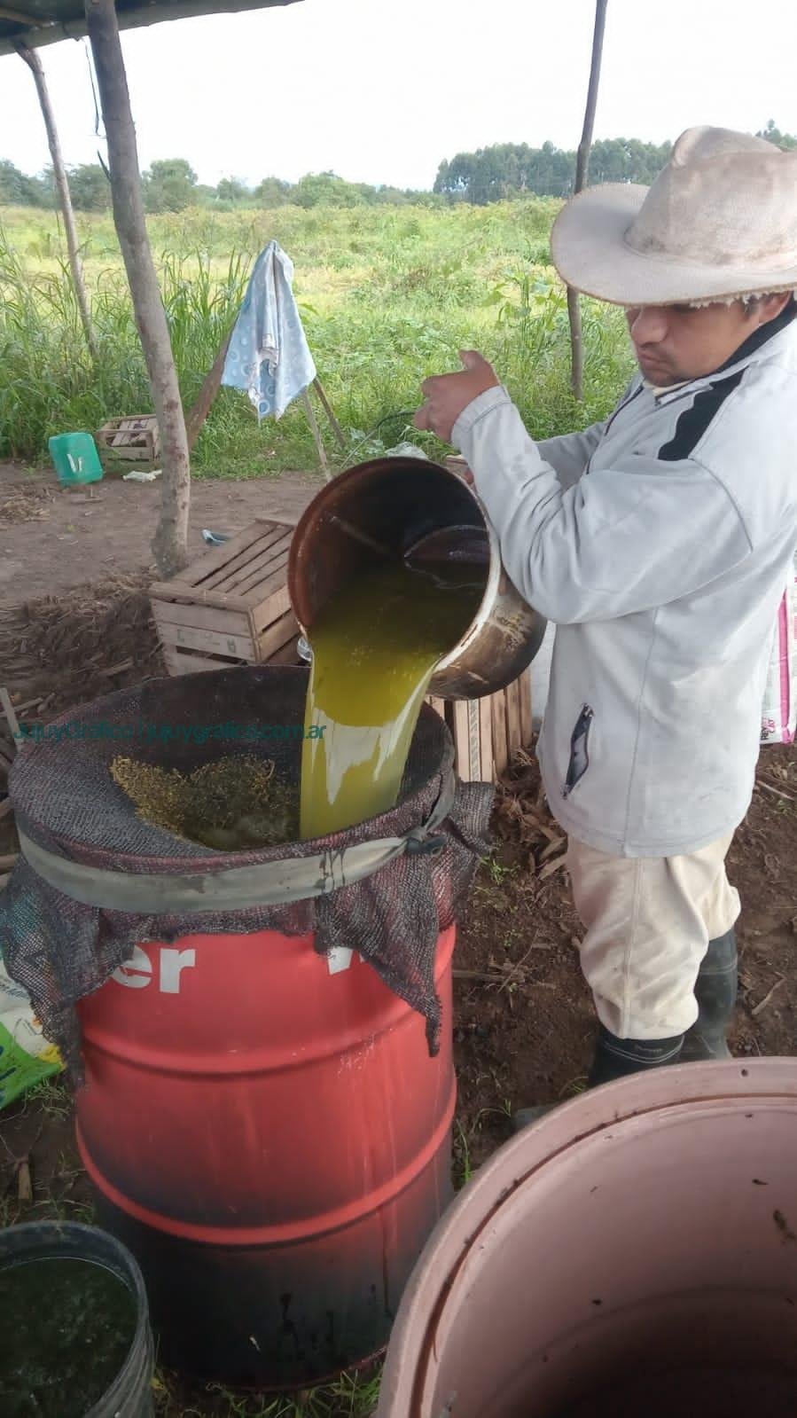 Regeneración de suelos y agroecología. El rol clave del bocashi en la Cooperativa Los Tatitos de Jujuy 06