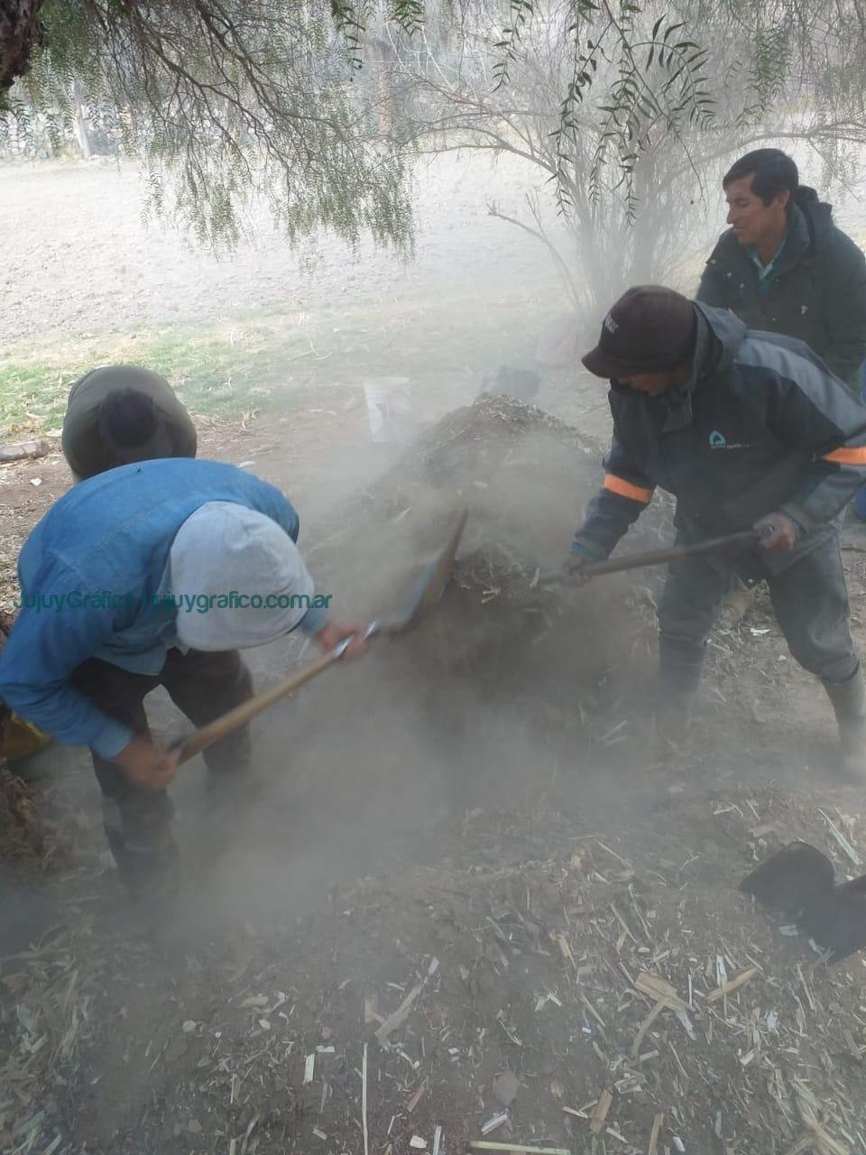 Regeneración de suelos y agroecología: El rol clave del bocashi en la Cooperativa Los Tatitos de Jujuy 9 Regeneración de suelos y agroecología. El rol clave del bocashi en la Cooperativa Los Tatitos de Jujuy 08