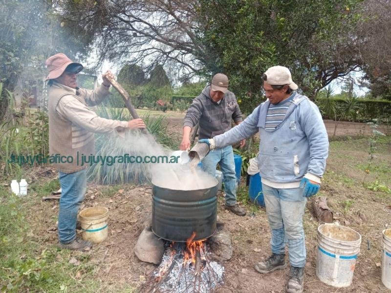 Regeneración de suelos y agroecología. El rol clave del bocashi en la Cooperativa Los Tatitos de Jujuy 09