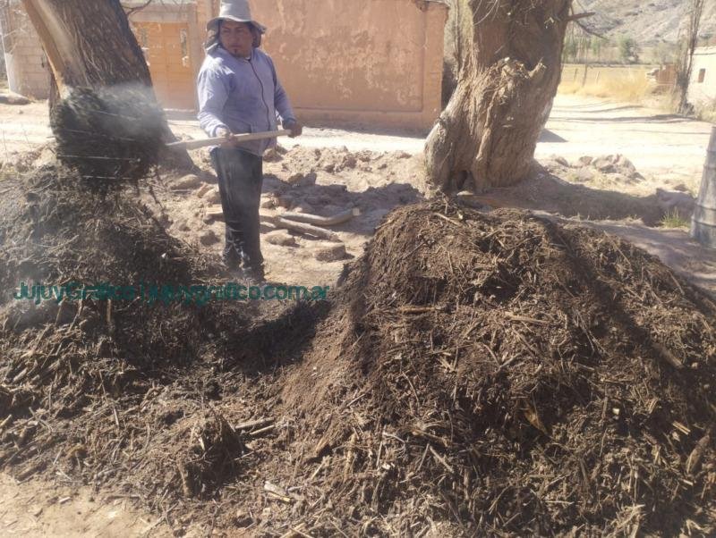 Regeneración de suelos y agroecología. El rol clave del bocashi en la Cooperativa Los Tatitos de Jujuy 12