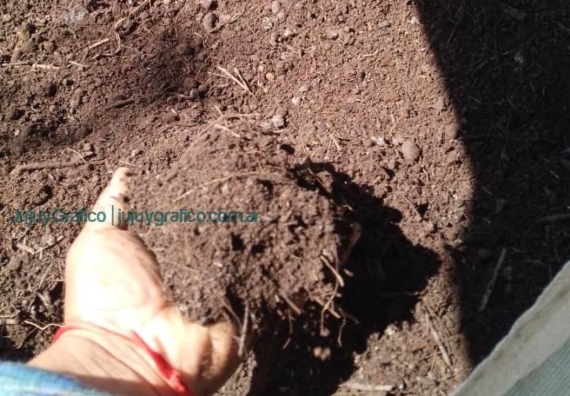 Regeneración de suelos y agroecología. El rol clave del bocashi en la Cooperativa Los Tatitos de Jujuy 17