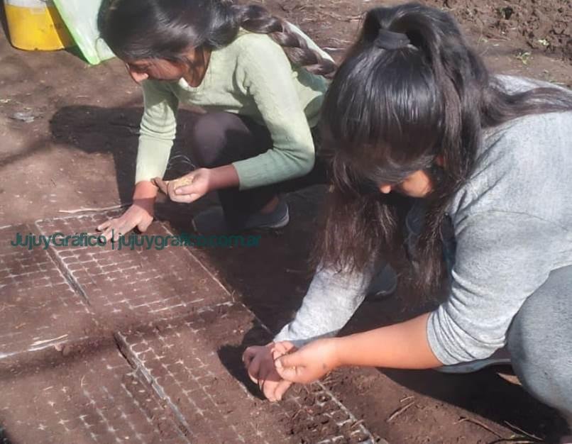 Regeneración de suelos y agroecología. El rol clave del bocashi en la Cooperativa Los Tatitos de Jujuy 18