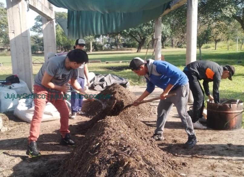 Regeneración de suelos y agroecología. El rol clave del bocashi en la Cooperativa Los Tatitos de Jujuy 19