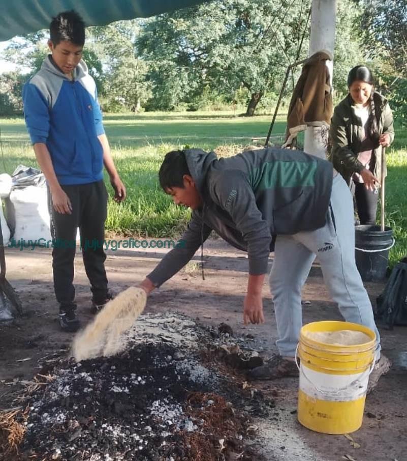 Regeneración de suelos y agroecología: El rol clave del bocashi en la Cooperativa Los Tatitos de Jujuy 13 Regeneración de suelos y agroecología. El rol clave del bocashi en la Cooperativa Los Tatitos de Jujuy 21