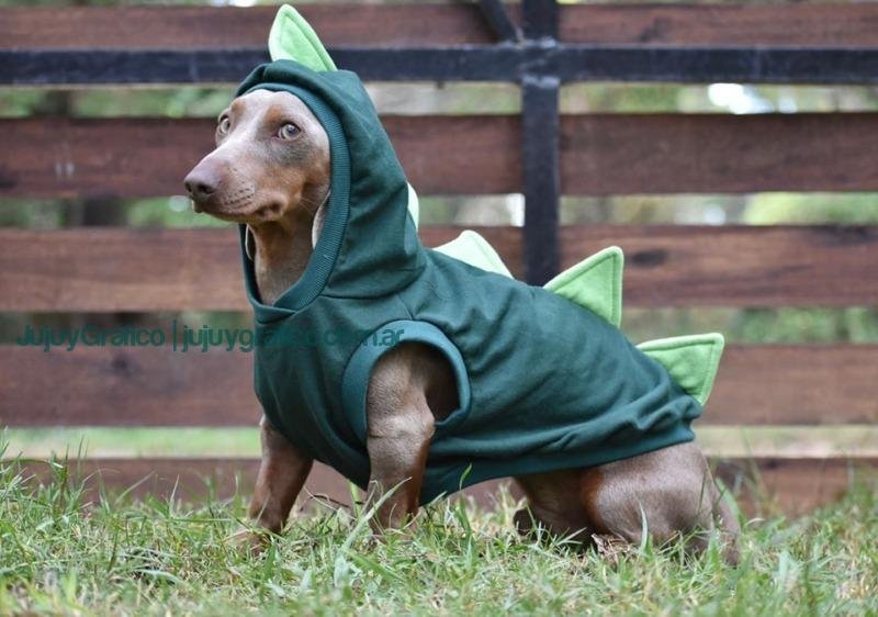 Vicus Pet Innovación y Sostenibilidad en Indumentaria para Mascotas en Jujuy 2