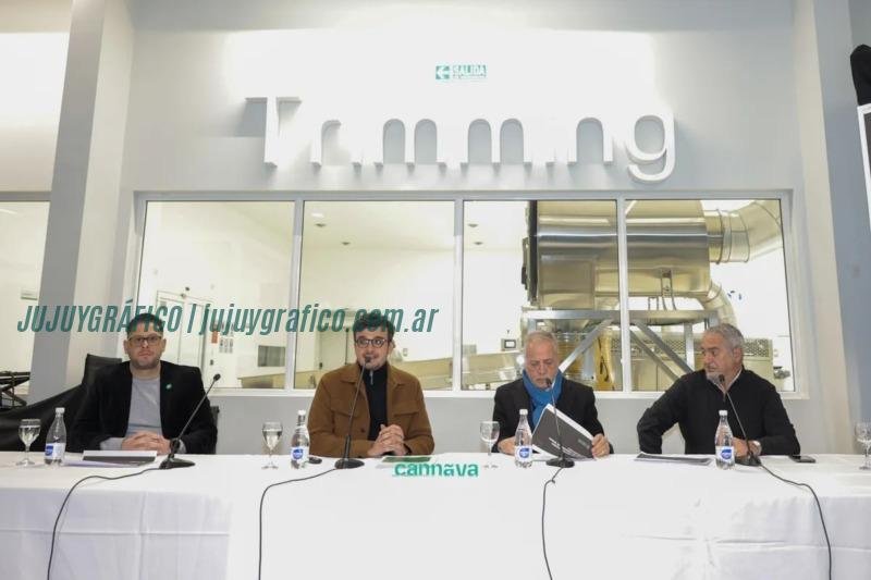 CANNAVA. El Auge del cannabis medicinal de grado farmacéutico de Jujuy al mundo 1