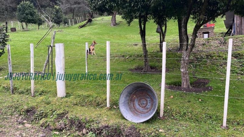 Descubren objeto arqueológico en Finca Sacarías, interviene la justicia provincial 04