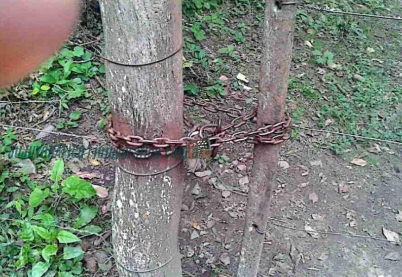 Descubren objeto arqueológico en Finca Sacarías, interviene la justicia provincial 19