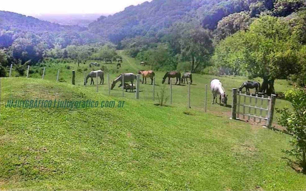 Descubren objeto arqueológico en Finca Sacarías: interviene la justicia provincial 1 Descubren objeto arqueológico en Finca Sacarías, interviene la justicia provincial 23