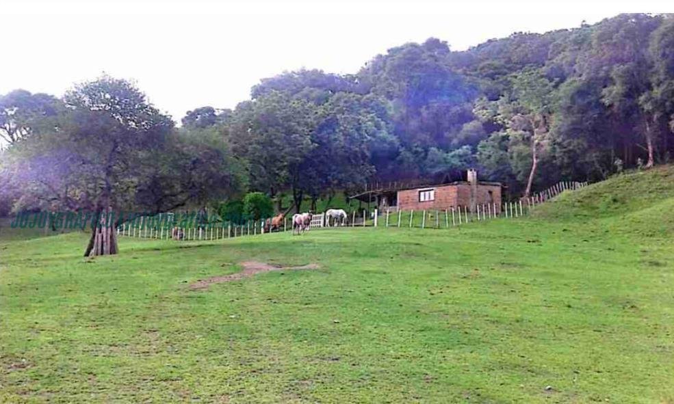 Descubren objeto arqueológico en Finca Sacarías: interviene la justicia provincial 21 Descubren objeto arqueológico en Finca Sacarías, interviene la justicia provincial 24