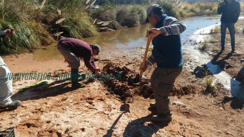Innovador Proyecto de bioingeniería con plantas vetiver en Jujuy 2 Innovador Proyecto de bioingeniería con plantas vetiver en Jujuy 2