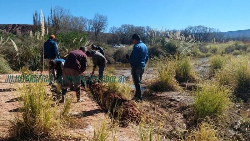 Innovador Proyecto de bioingeniería con plantas vetiver en Jujuy 2 Innovador Proyecto de bioingeniería con plantas vetiver en Jujuy 4