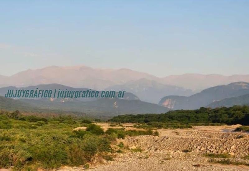 Bosque Vinalito: Modelo de conservación y desarrollo sostenible en Jujuy 1 Bosque Vinalito Modelo de conservación y desarrollo sostenible en Jujuy 6
