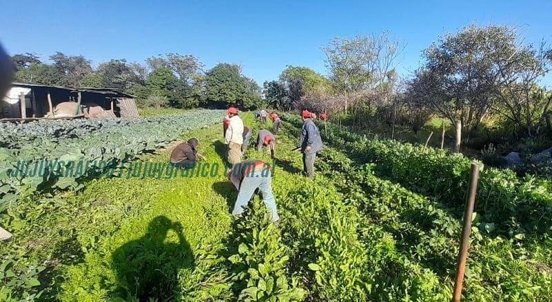 Cooperativa Tierra Jujeña: Un Faro de esperanza para los productores de Jujuy 3 Cooperativa Tierra Jujeña, Un Faro de esperanza para los productores de Jujuy
