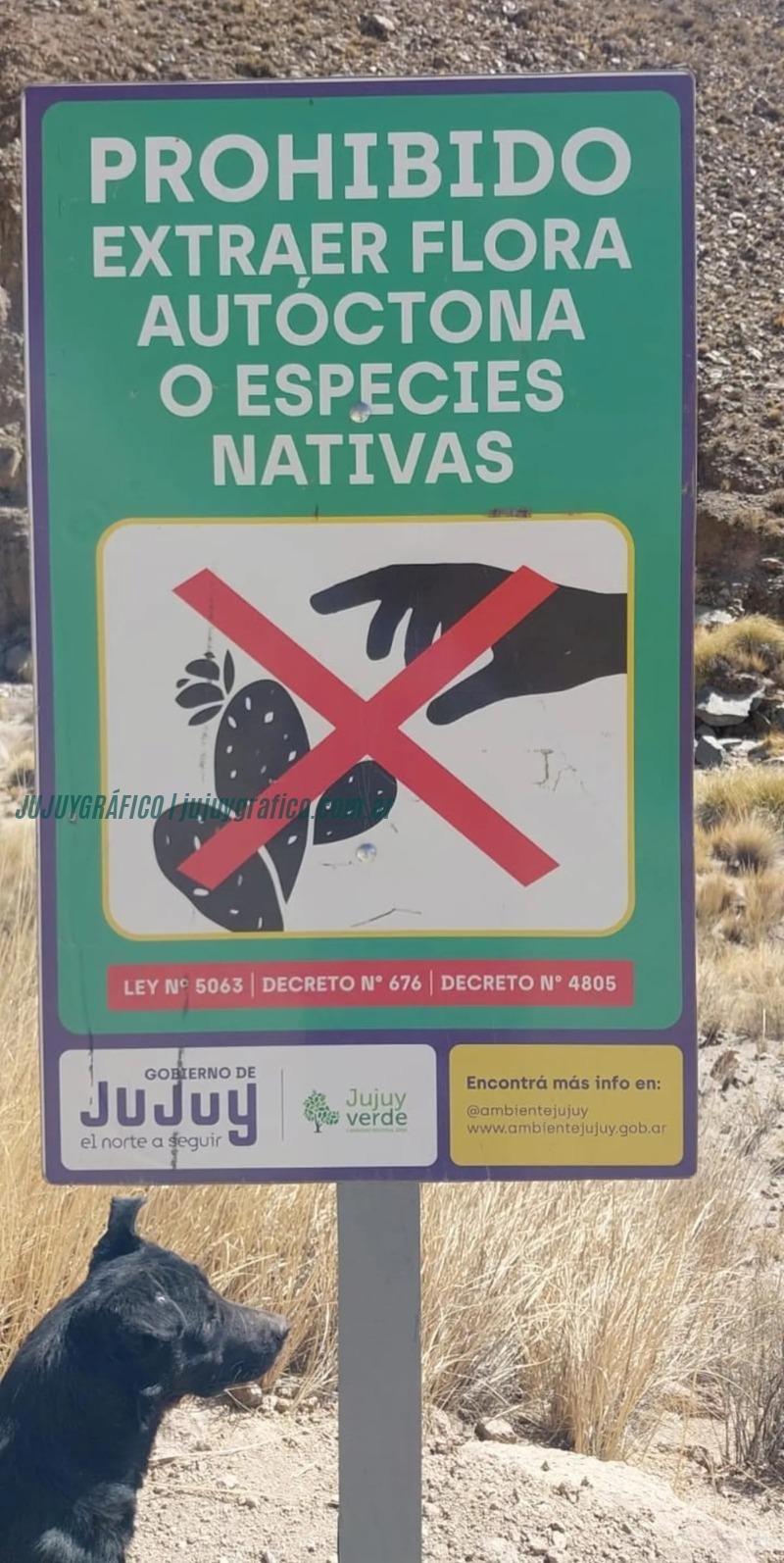 Arbolito Nuevo. Declarada Capital del Árbol y Territorio de Interés Ambiental 02 Arbolito Nuevo. Declarada Capital del Árbol y Territorio de Interés Ambiental 02