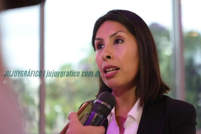 Avanza la obra de conectividad en Jujuy, 350 escuelas y 135 localidades accederán a internet de alta calidad 1 Avanza la obra de conectividad en Jujuy, 350 escuelas y 135 localidades accederán a internet de alta calidad 1