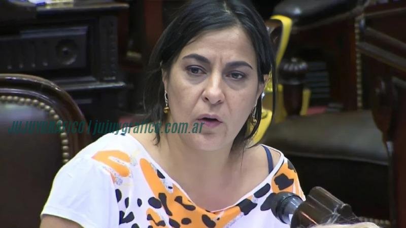 Carolina Moisés, Leila Chaher y Diego Martín Palmieri Internas del Partido Justicialista en Jujuy, Tres listas para un partido dividido 5 Carolina Moisés, Leila Chaher y Diego Martín Palmieri Internas del Partido Justicialista en Jujuy, Tres listas para un partido dividido 5