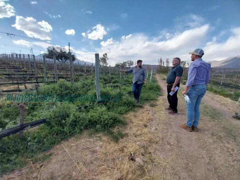 Evaluación de Bodegas y Viñedos. Un paso hacia la excelencia en Enoturismo en Jujuy 2 Evaluación de Bodegas y Viñedos. Un paso hacia la excelencia en Enoturismo en Jujuy 2