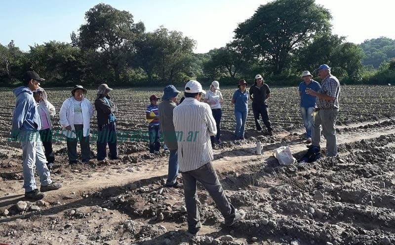 Cooperativa Alimentos El Pongo: Promoviendo la agricultura familiar en tiempos de desafíos económicos 4 Cooperativa Alimentos El Pongo. Promoviendo la agricultura familiar en tiempos de desafíos económicos 1