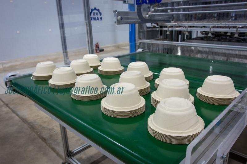 Ledesma despacha su primer cargamento de envases de caña de azúcar 10 Máquina de termomoldeados