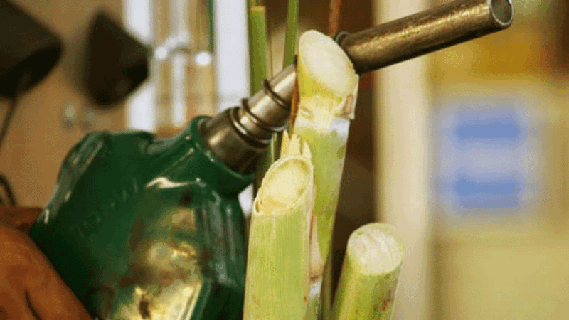 bioetanol Tipos de energías renovables y su importancia en la transición energética bioetanol Tipos de energías renovables y su importancia en la transición energética