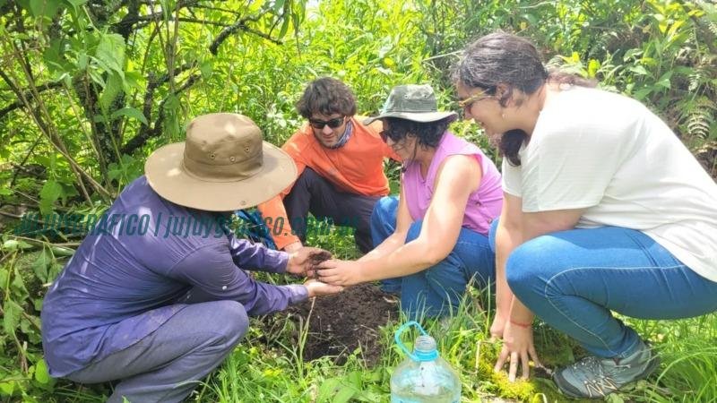 Jujuy compensa la huella de carbono de la PreCOP29 plantando 30 especies nativas 3 Jujuy compensa la huella de carbono de la PreCOP29 plantando 30 especies nativas 3