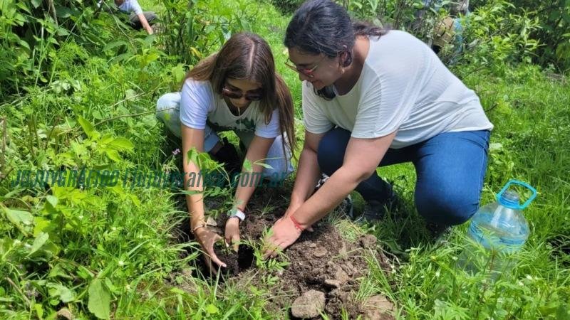 Jujuy compensa la huella de carbono de la PreCOP29 plantando 30 especies nativas 4 Jujuy compensa la huella de carbono de la PreCOP29 plantando 30 especies nativas 4
