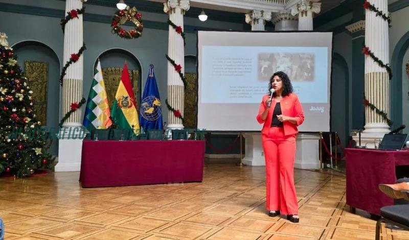 Jujuy participó en la reunión Rumbo a la Década de los Camélidos en La Paz 2