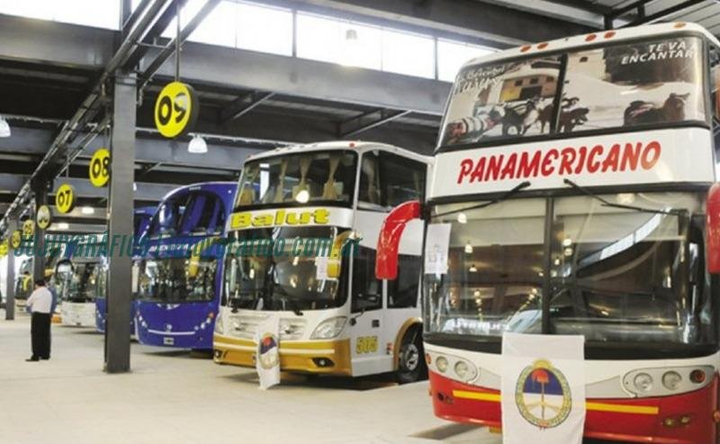 La Regulación del Transporte en Jujuy. Análisis del presidente de la Cámara 5 La Regulación del Transporte en Jujuy. Análisis del presidente de la Cámara 5
