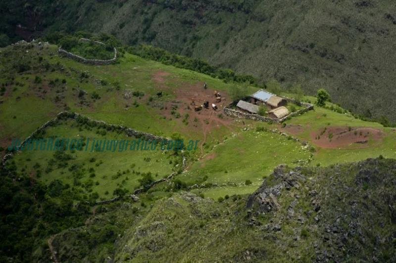 Molulo Hermanos Quispe 14 días perdidos en los valles Altos de Tilcara y su increíble historia de supervivencia 8 Molulo Hermanos Quispe 14 días perdidos en los valles Altos de Tilcara y su increíble historia de supervivencia 8