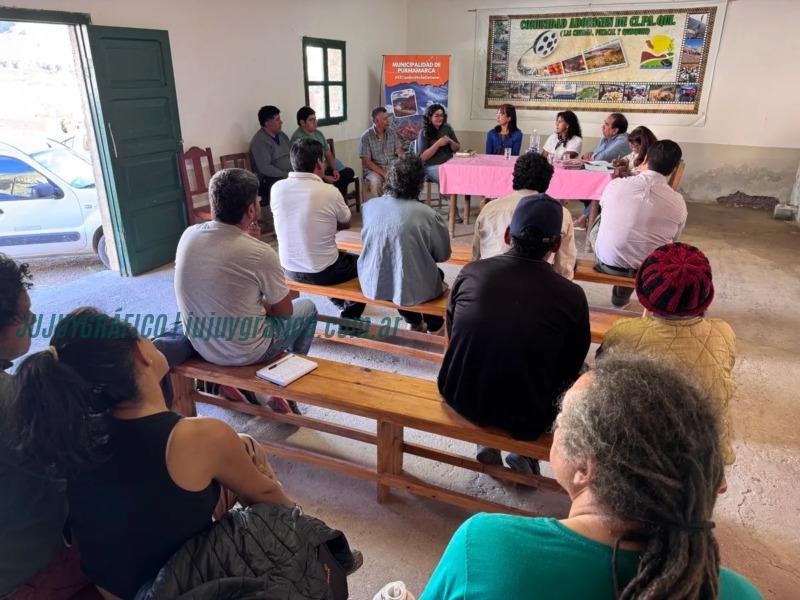 Productores de Purmamarca buscan soluciones para plaga de loros en sus cultivos 3 Productores de Purmamarca buscan soluciones para plaga de loros en sus cultivos 3