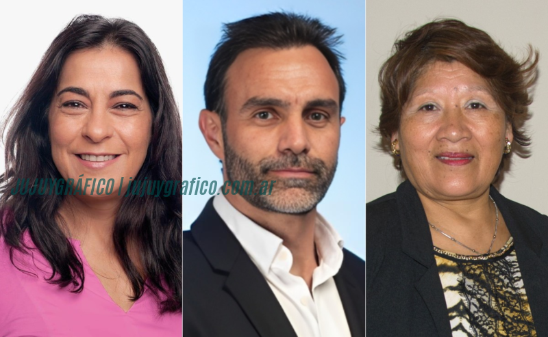 Ezequiel Atauche, Carolina Moisés y Vilma Bedia, Cuánto hablaron en el Senado en 2024 1