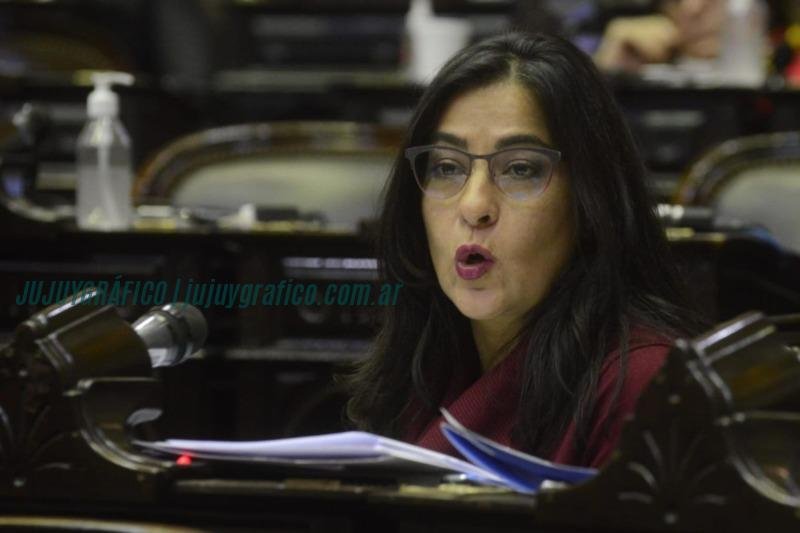 Ezequiel Atauche, Carolina Moisés y Vilma Bedia, Cuánto hablaron en el Senado en 2024 12 Ezequiel Atauche, Carolina Moisés y Vilma Bedia, Cuánto hablaron en el Senado en 2024 12