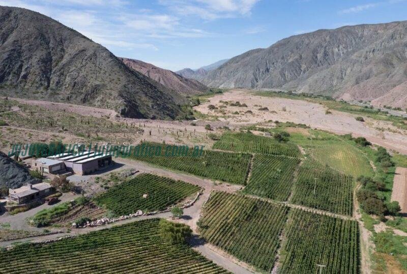 Descubre las Rutas del Vino de Jujuy. Feria de degustación y charlas magistrales 2 Descubre las Rutas del Vino de Jujuy. Feria de degustación y charlas magistrales 2