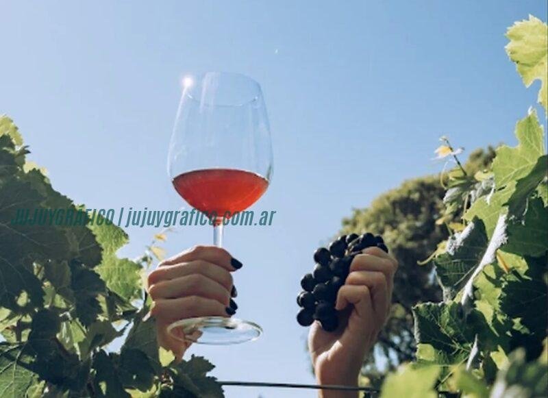 Descubre las Rutas del Vino de Jujuy. Feria de degustación y charlas magistrales 3 Descubre las Rutas del Vino de Jujuy. Feria de degustación y charlas magistrales 3