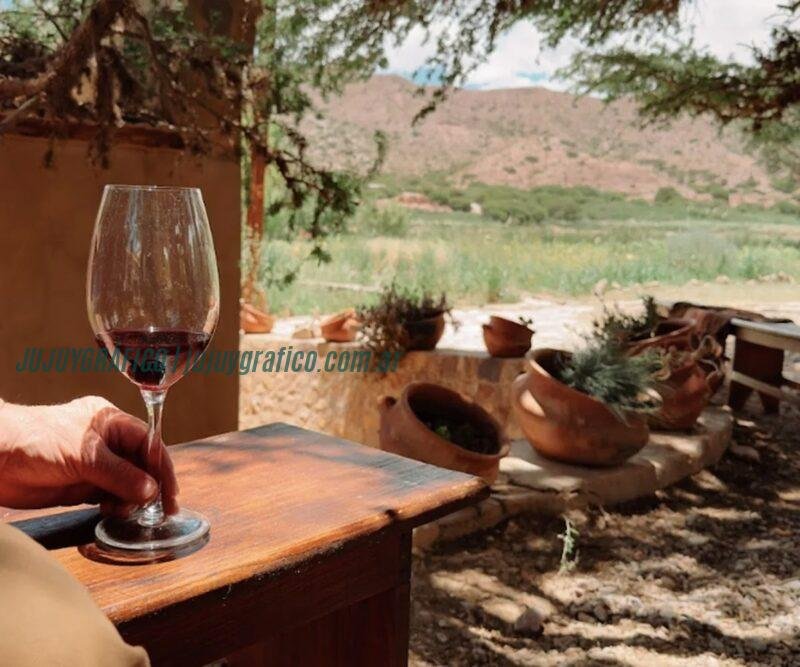 Descubre las Rutas del Vino de Jujuy. Feria de degustación y charlas magistrales 4 Descubre las Rutas del Vino de Jujuy. Feria de degustación y charlas magistrales 4