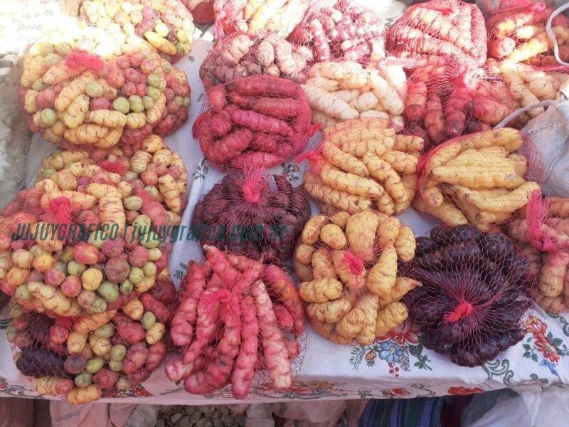 Gran Feria Campesina en Jujuy: Productores de cuatro regiones se reúnen en la Vieja Estación 8 Gran Feria Campesina en Jujuy, Productores de cuatro regiones se reúnen en la Vieja Estación 2