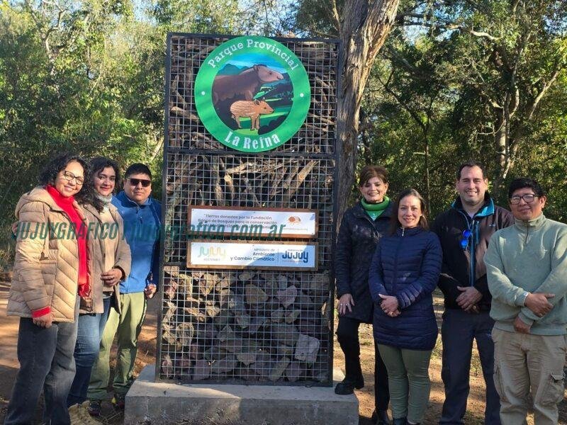 Aves silvestres regresan a su hábitat en el Parque La Reina 1 Aves silvestres regresan a su hábitat en el Parque La Reina 1