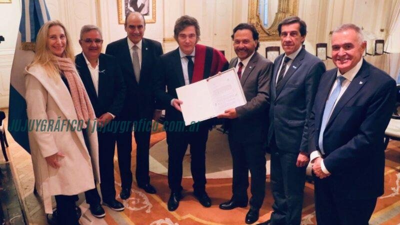 Carlos Sadir defiende colaboración provincial ante ataques de Javier Milei 2 Carlos Sadir defiende colaboración provincial ante ataques de Javier Milei 2
