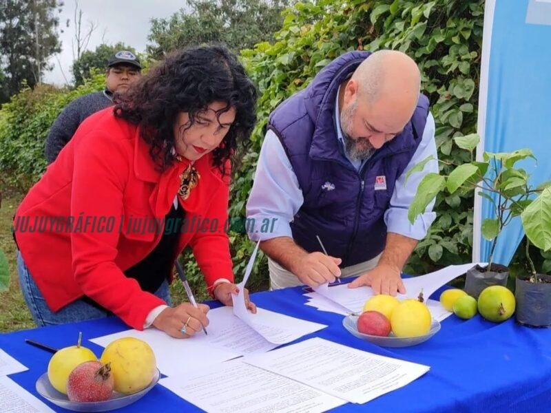 Jujuy impulsa cultivo de maracuyá con 18 productores en Valles y Yungas 1 Jujuy impulsa cultivo de maracuyá con 18 productores en Valles y Yungas 5