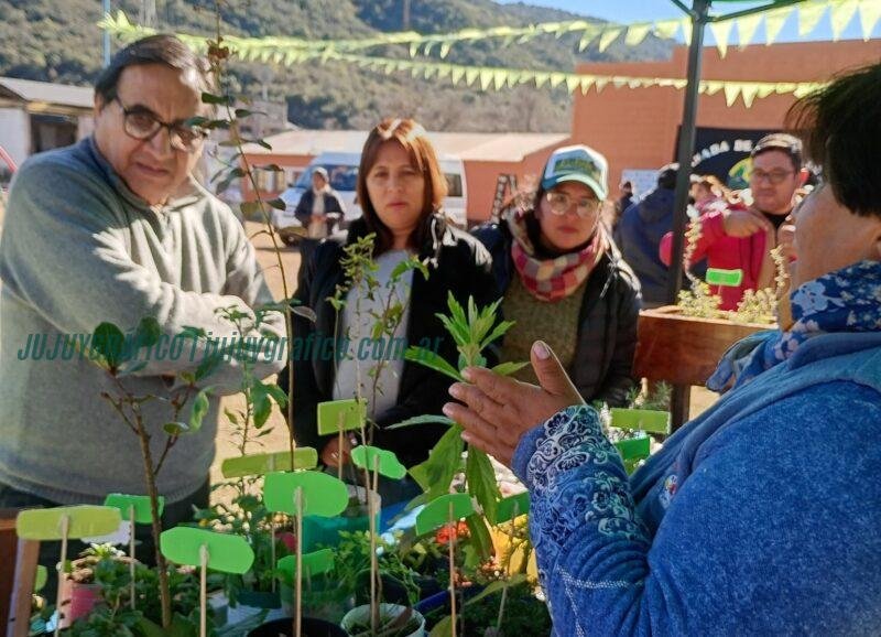 Yungas Bajas, Jujuy inaugura corredor que une turismo y economía popular 42 Yungas Bajas, Jujuy inaugura corredor que une turismo y economía popular 42