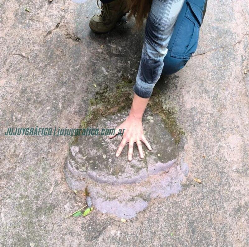 El Sauzal con más de 500 huellas de dinosaurios transforman en las Yungas 02 El Sauzal con más de 500 huellas de dinosaurios transforman en las Yungas 02