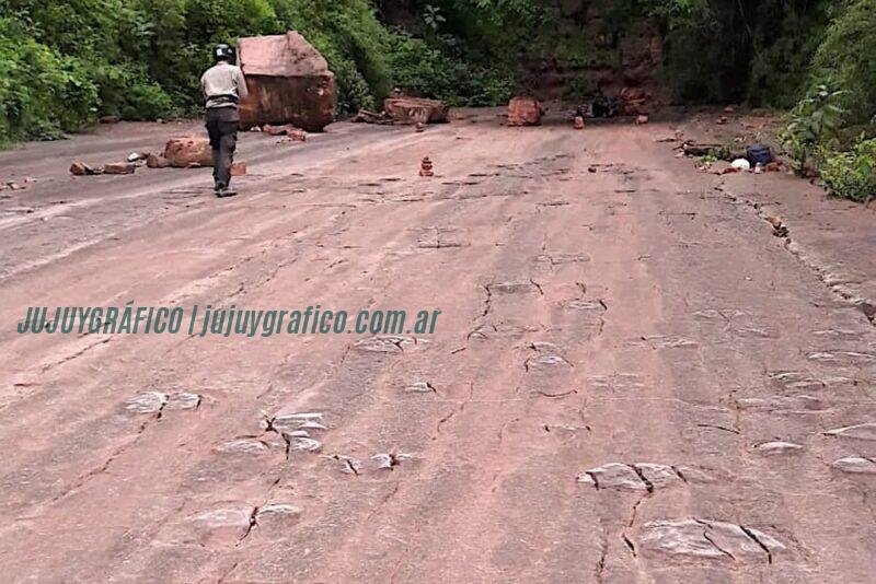 El Sauzal con más de 500 huellas de dinosaurios transforman en las Yungas 5 El Sauzal con más de 500 huellas de dinosaurios transforman en las Yungas 05