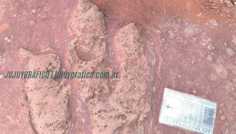 El Sauzal con más de 500 huellas de dinosaurios transforman en las Yungas 07 El Sauzal con más de 500 huellas de dinosaurios transforman en las Yungas 07