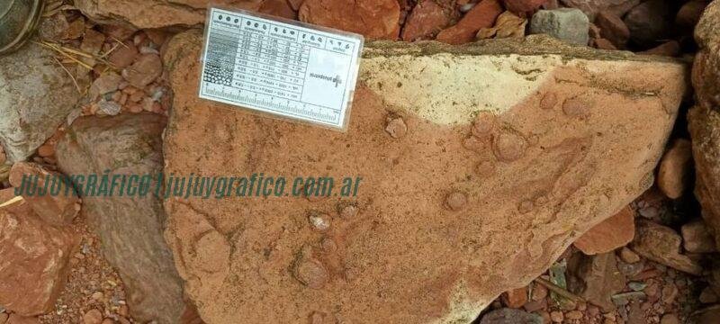 El Sauzal con más de 500 huellas de dinosaurios transforman en las Yungas 092 El Sauzal con más de 500 huellas de dinosaurios transforman en las Yungas 092